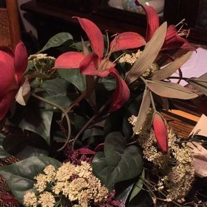 Meet your Posher, Eula